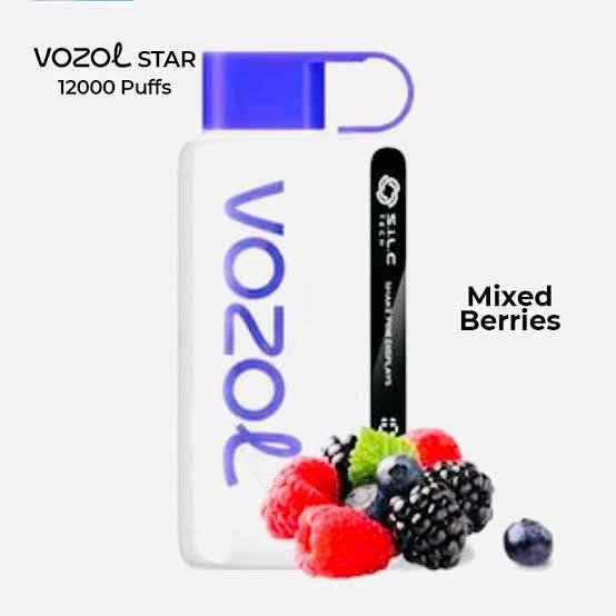 Vozol Star 12000 Puffs Disposable Vape in UAE | Smart Display, Fast Charging & Eco-Friendly Design 1 Vozol Star 12000 Puffs