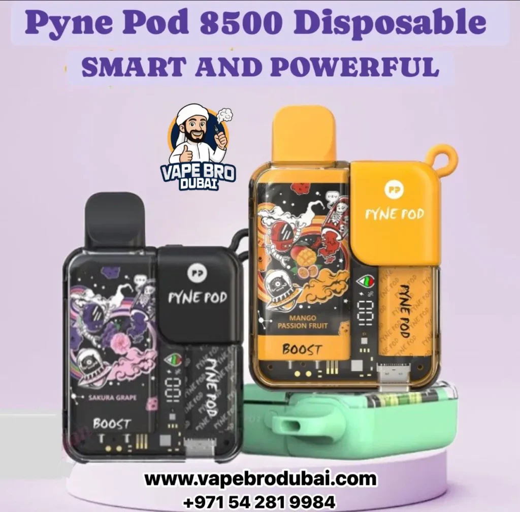 6000-10000 puffs disposable vape