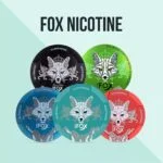 nicotine pouches for a smoke-free experience